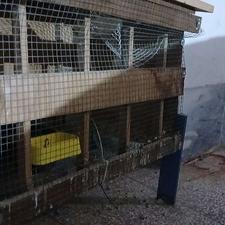 قفس چوبی دارای توری