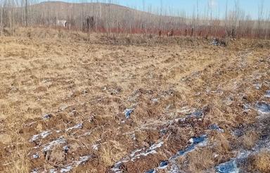 یک هکتار زمین زراعی مرغوب