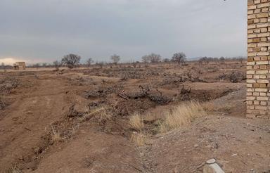 3130 متر زمین باغی سند شش دانگ در تاکستان