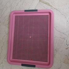 سینی ادرارسگ