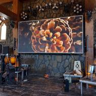 تولید و فروش تلویزیون های شهری و استندهای دیجیتال