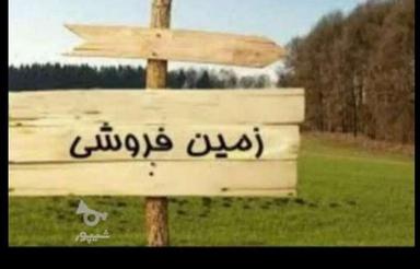 یک زمین دو نبش خالی272متر