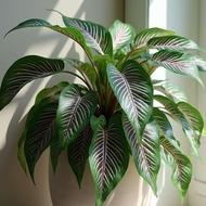 نانو تکنولوژی