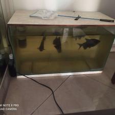 آکواریوم فروشی