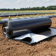 مالچ کشاورزی جهت کشت و درخت