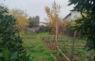 زمین مسکونی