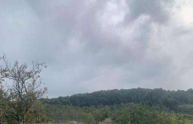 زمین کشاورزی واقع در قائمشهر قابل تعاتر با خودرو و ملک