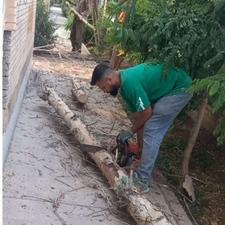 هرس کاری چوب بری باغبانی سم پاشی....