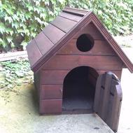 لونه سگ چوبی مناسب پاکوتاه