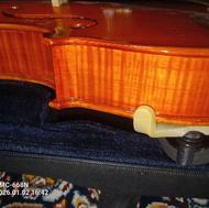 ویولن حرفه ای