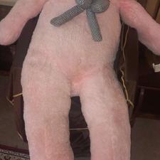 شاخسین 2 متری