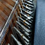 سنتور اصیل کلکسیونی