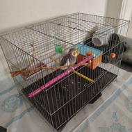 قفس پرنده عروس هلندی