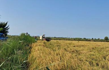 فروردین زمین زراعی