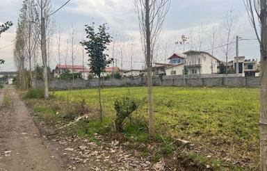 فروش زمین مسکونی 200 متر در تلیران