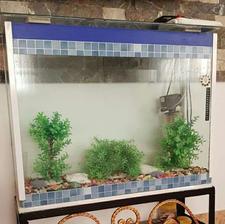 تجهیزات ماهی