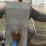 فروش سازه گلخانه