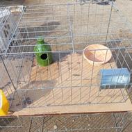 جفتکنی کبوتر کفی سرامیکی 50در60ارتفاع40