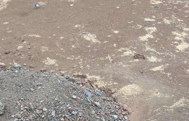 زمین مسکونی خیابان بیمارستان شفا