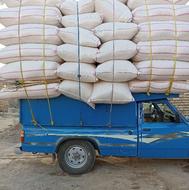 کاه به قیمت روز