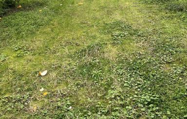 زمین خارج بافت400متر