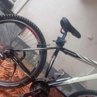 دوچرخه ویوا29