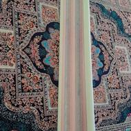 این پرده سالن نوهست