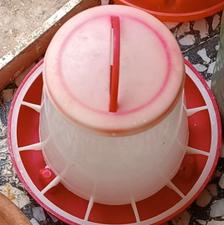 وسایل پرندگان جا آبی و دانه