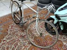 دوچرخه کورسی مارک پژو در شیپور