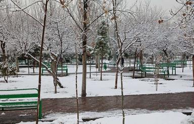 همخونه هم خونه میشم پسر 26 خونه ندارم