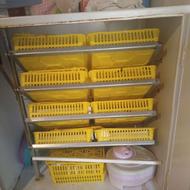 دستگاه جوجه کشی