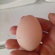 تخم مرغ محلی خوراکی درجه 1