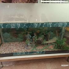 اکواریوم با پایه