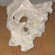 آگواریوم با لوازم