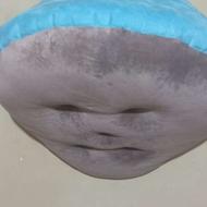 فروش خونه و لونه پت پاپی خوشگل نرم راحت