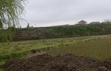 باغی و زراعی