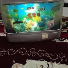 شب خواب آکواریومی