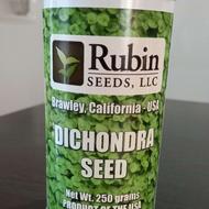 بذر چمن تزئینی آمریکایی