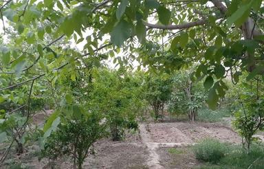 100 متر بنا مسکونی