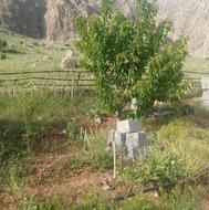 زمین کشاورزی برای احداث باغ