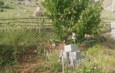 زمین کشاورزی برای احداث باغ