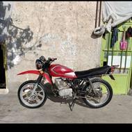 پیشرو شکاری