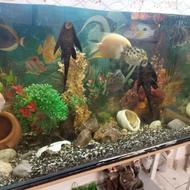 اکواریوم فروشی