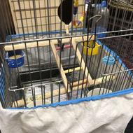 قفس پرنده سالم