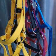 انواع کله بند اسب