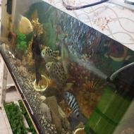 اکواریوم فروشی