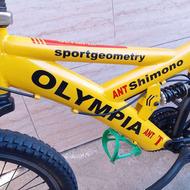 دوچرخه حرفه ای سایز 20 دنده ای