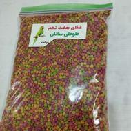 غذای طوطی سانان