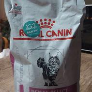 فروش غذای درمانی رنال سلکت گربه
