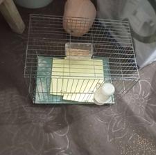 قفس طوطی و مرغ عشق و فنچ و پرندگان دیگه